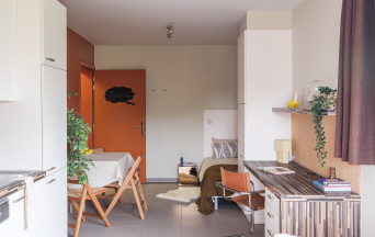 studio Benelux 1p