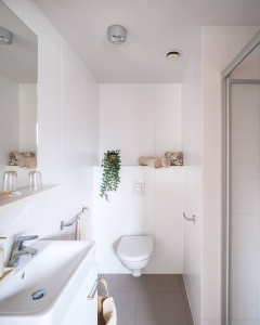 Benelux Upkot Upstudio
